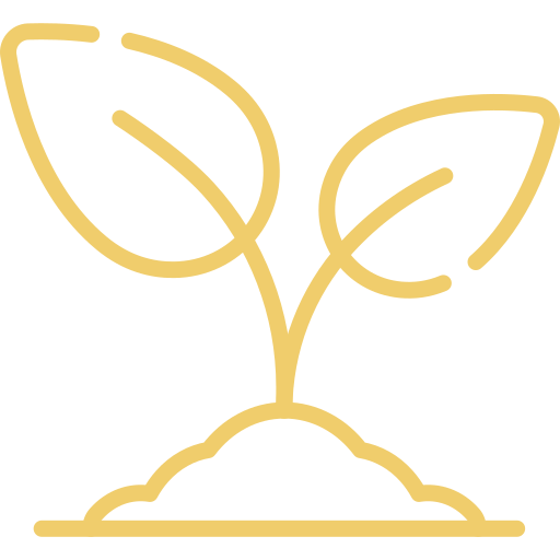 Support inner growth through wisdom & presence